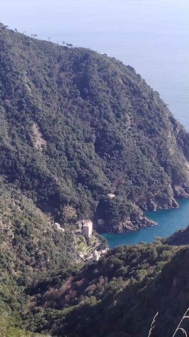 Casa Al Mare A Recco Lägenhet Exteriör bild