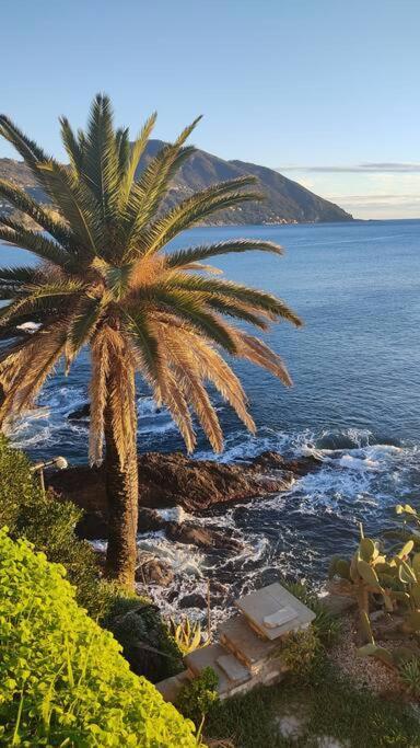 Casa Al Mare A Recco Lägenhet Exteriör bild
